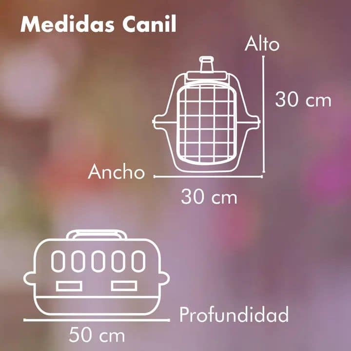 473623210_4895663163992129_8634248426712501822_n