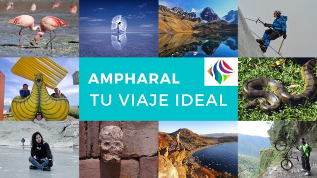 474387454_1037816215029920_9086940489806852136_n