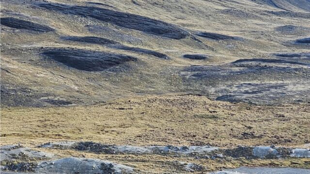 475395475_122171425358260932_8474631172946181129_n