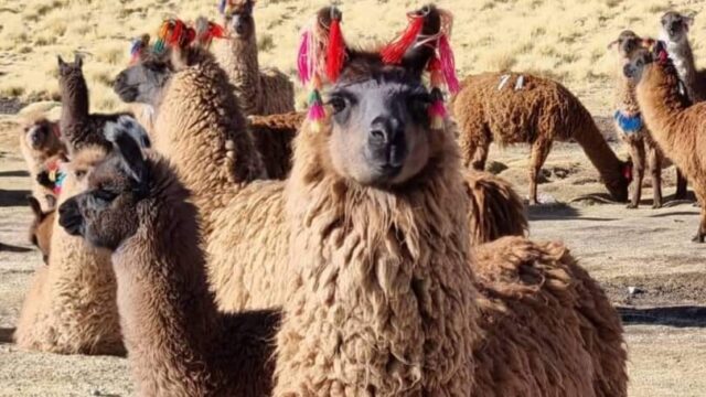 475528171_1149906396840950_4585696243791542048_n