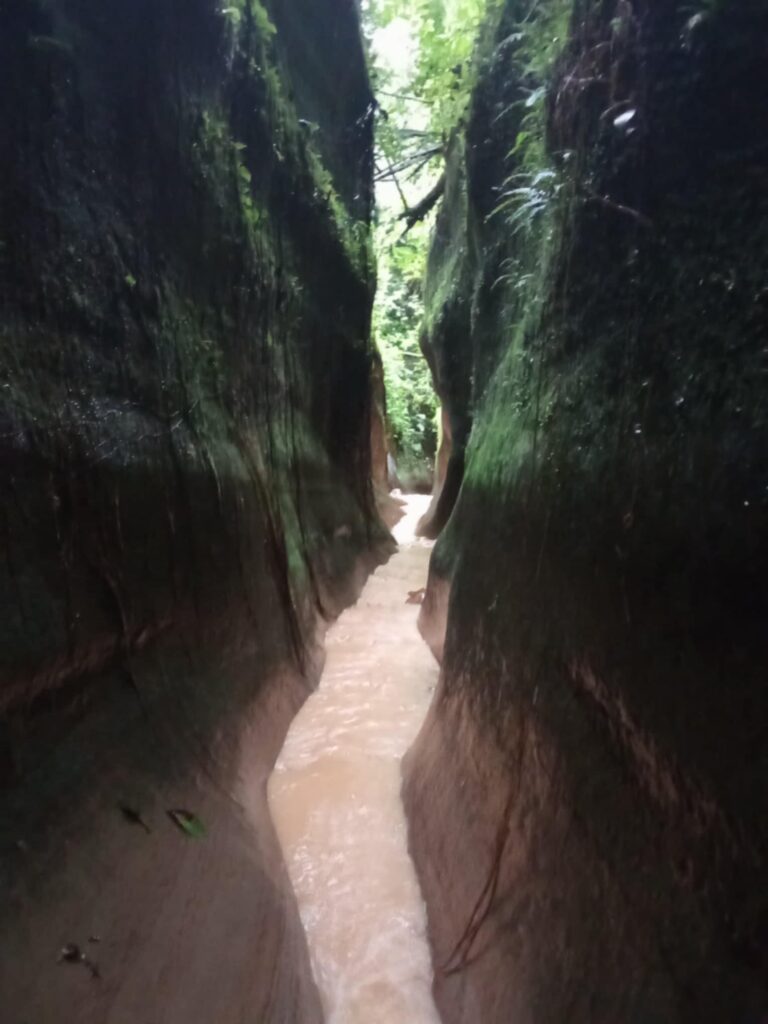 475694887_122137088162481295_5831617768263234914_n