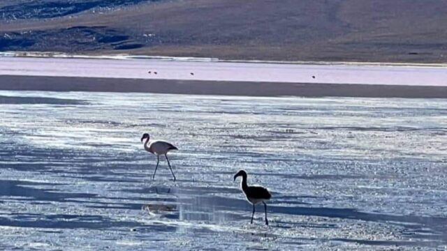 475785798_1149906470174276_6027007896878834365_n