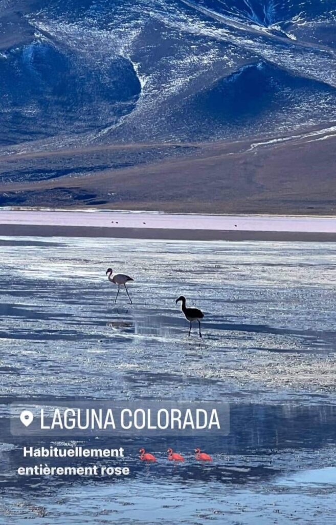 475785798_1149906470174276_6027007896878834365_n