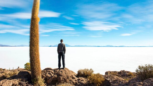 476040126_1046925230785686_6743579237857809481_n