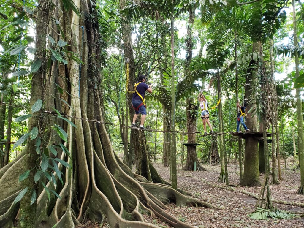 480429954_952938580301413_7016669613537451772_n