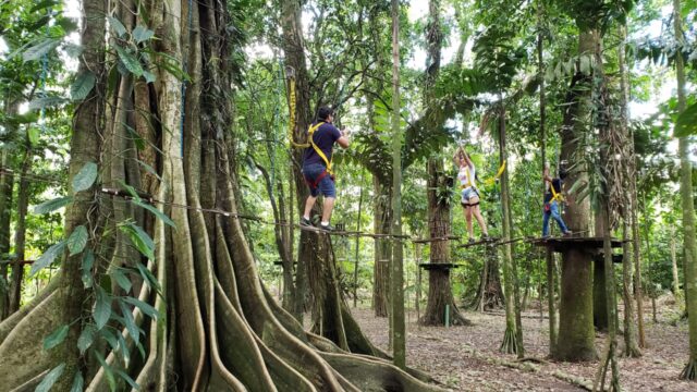 480429954_952938580301413_7016669613537451772_n