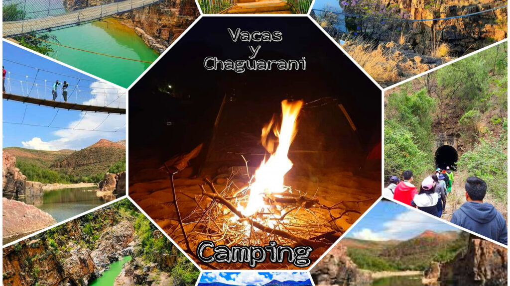 480730902_1219873336809552_522639933507726691_n