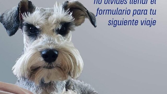 480741606_1210651927512902_1903232822464202264_n