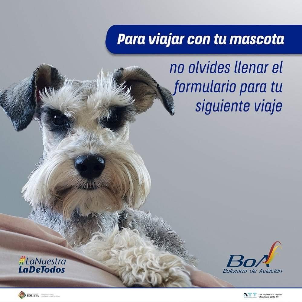 480741606_1210651927512902_1903232822464202264_n