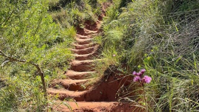 480899276_9653068378077792_948215261386510851_n