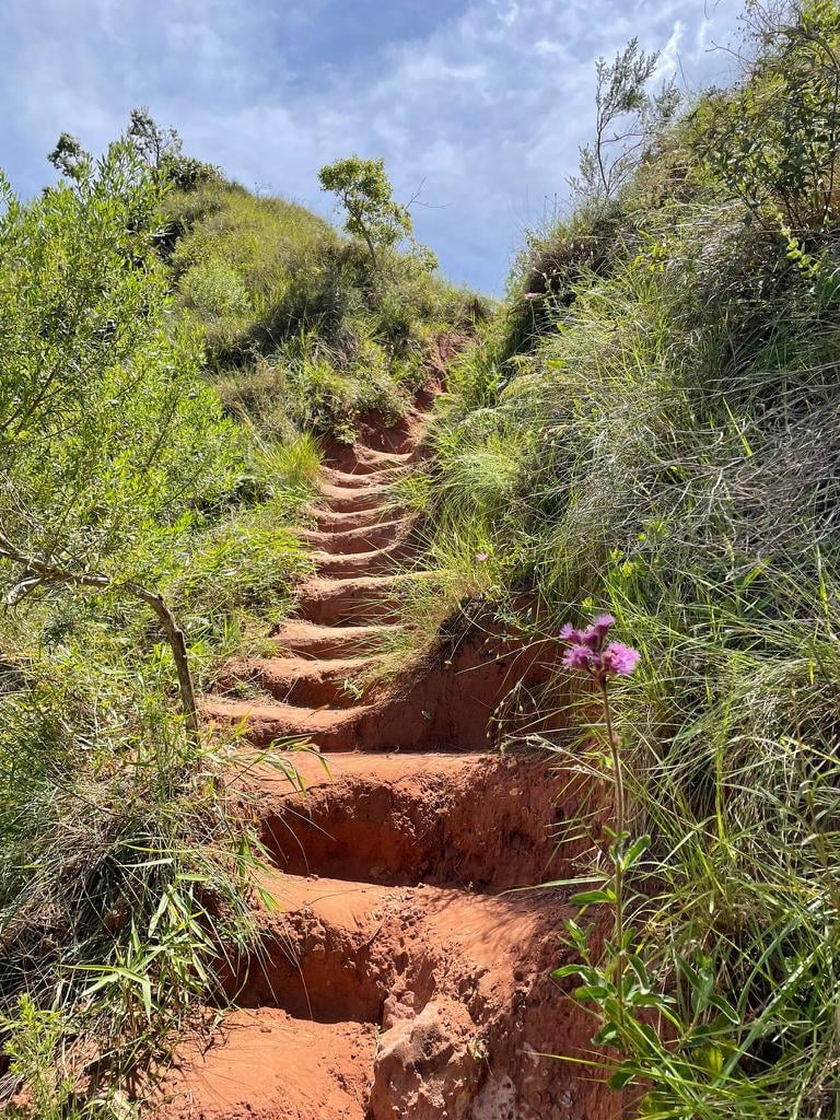 480899276_9653068378077792_948215261386510851_n