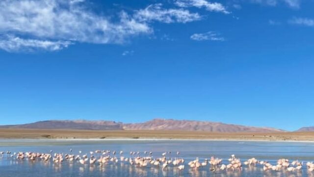 481074709_1169804424932733_4678355412747418910_n