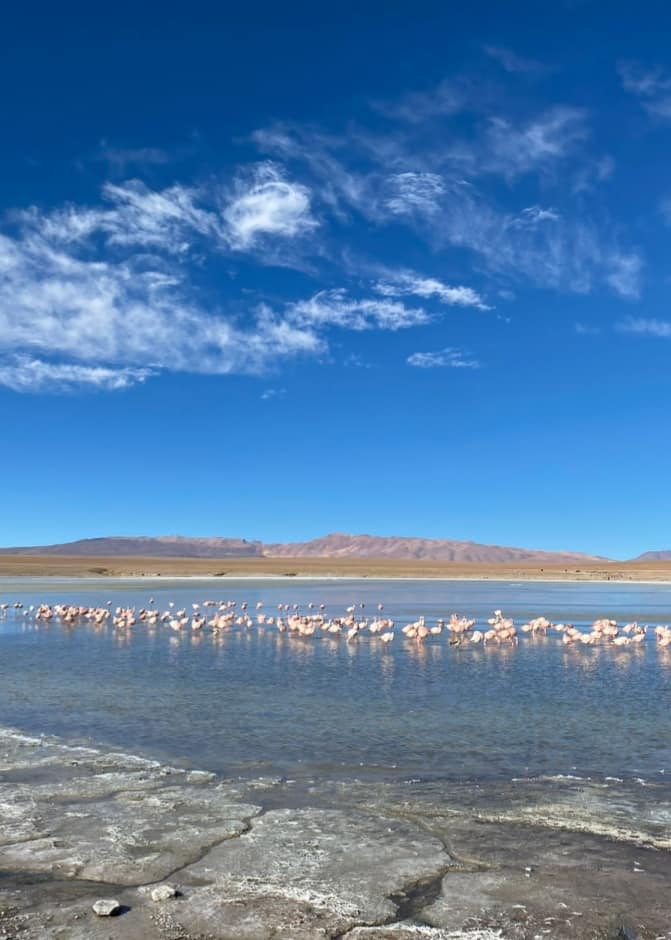 481074709_1169804424932733_4678355412747418910_n