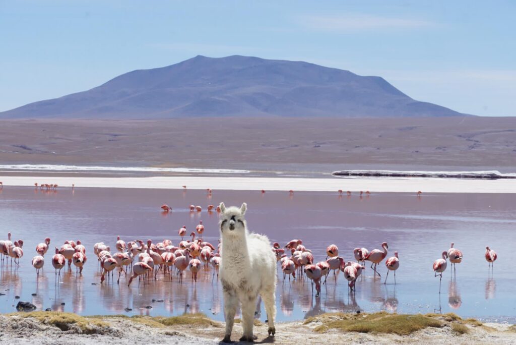 481078958_1173449524568223_3683712734100341511_n