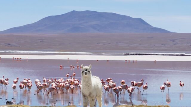 481078958_1173449524568223_3683712734100341511_n