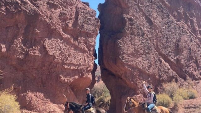 481082716_1169819254931250_6041621908620270843_n