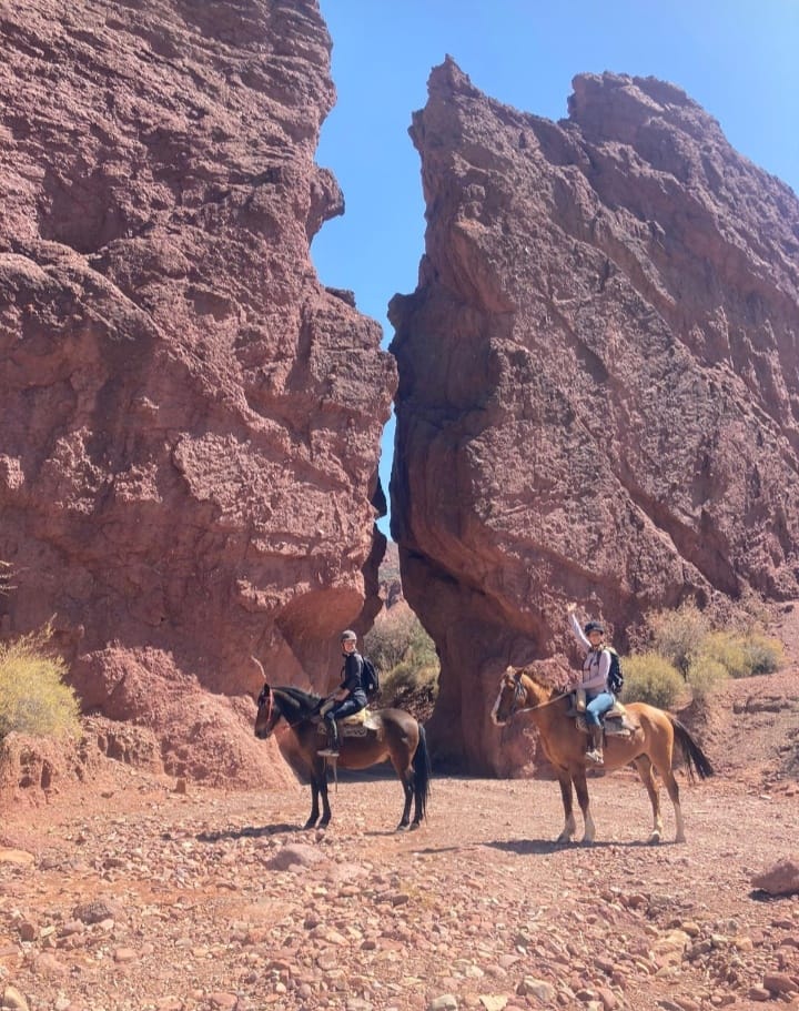 481082716_1169819254931250_6041621908620270843_n