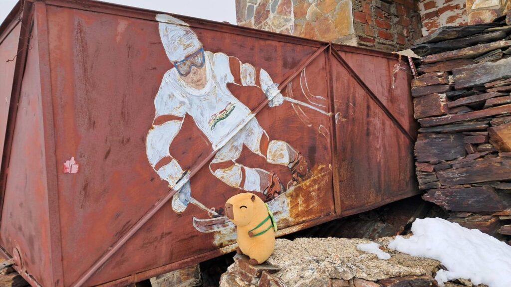 481217478_122200886210234308_4733199293565843283_n