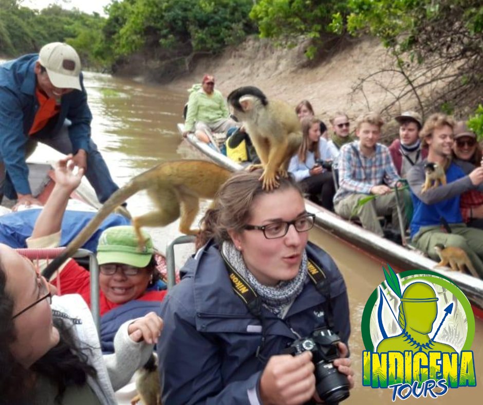 481261877_1184676060329914_2785984333509354323_n