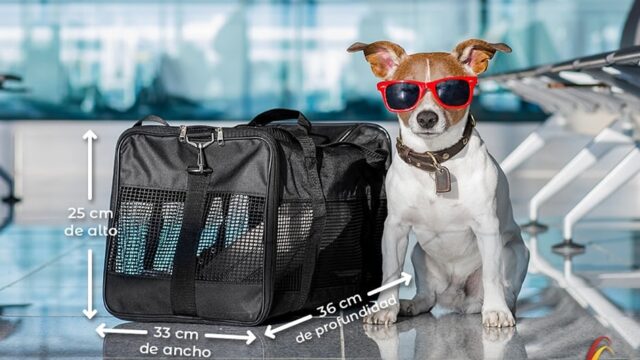 481267619_1213919317186163_668715997695517863_n