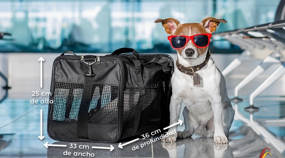 481267619_1213919317186163_668715997695517863_n