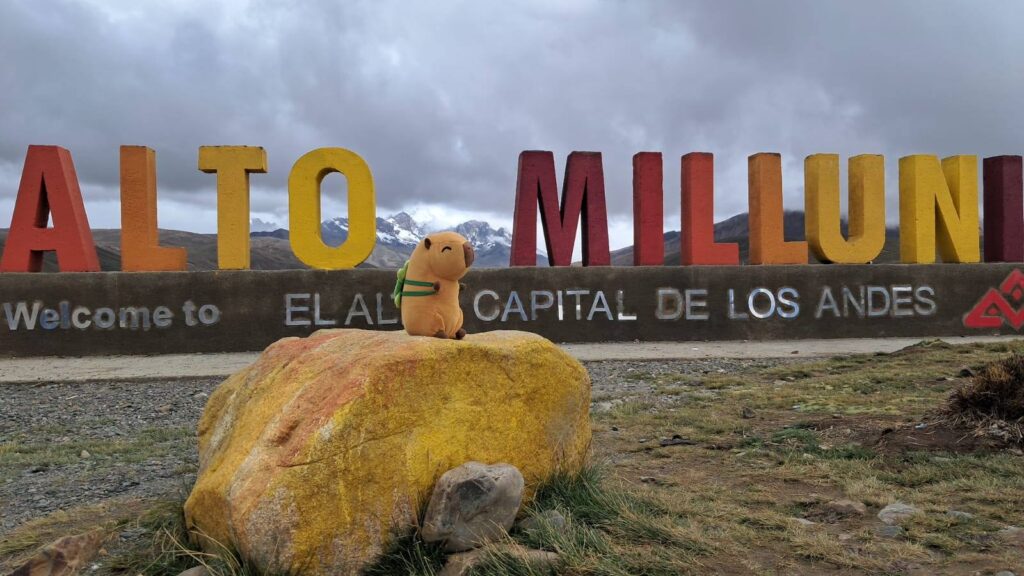 481904569_122200886642234308_389231982180237809_n