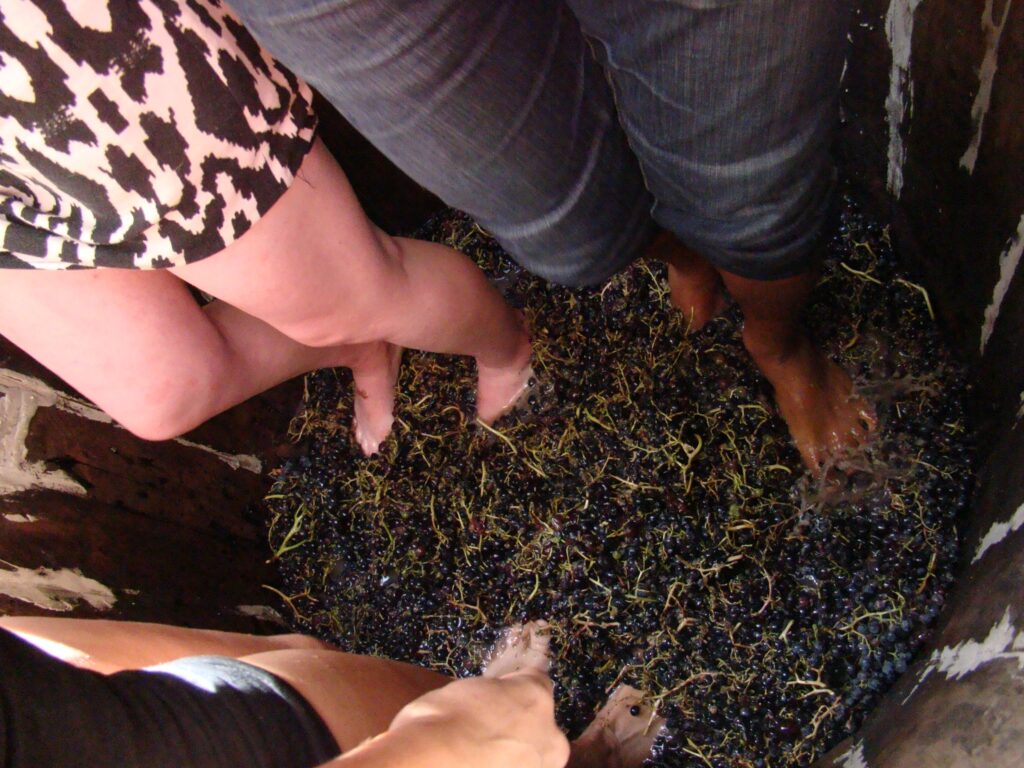 482019714_1036469678503342_1872433166915974441_n