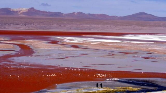 482031022_671556802121658_5706681579791864547_n