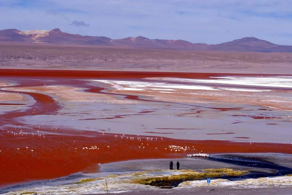 482031022_671556802121658_5706681579791864547_n