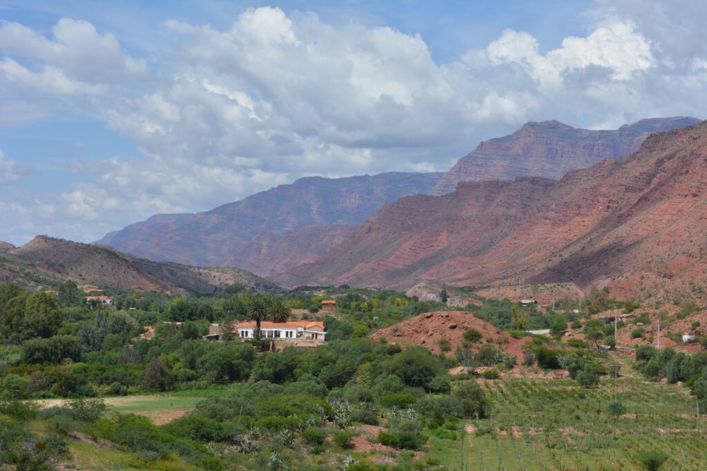 482207906_1036469721836671_8828664957480845323_n