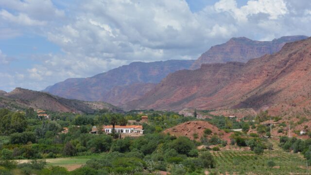 482207906_1036469721836671_8828664957480845323_n