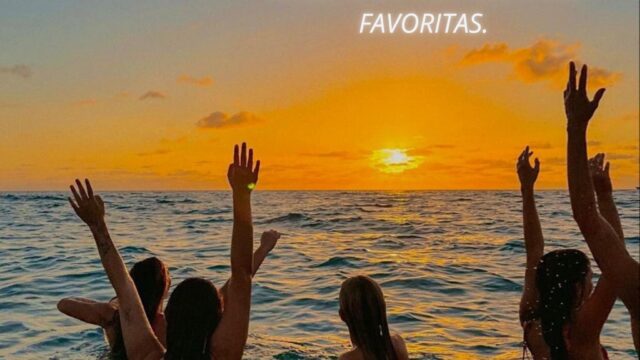 482223290_639276142188042_389615830449314805_n