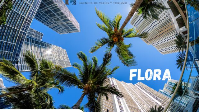 482277027_1124508209472713_2438065004364847923_n