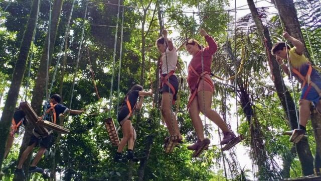 482327133_968179935443944_3672685889532622055_n