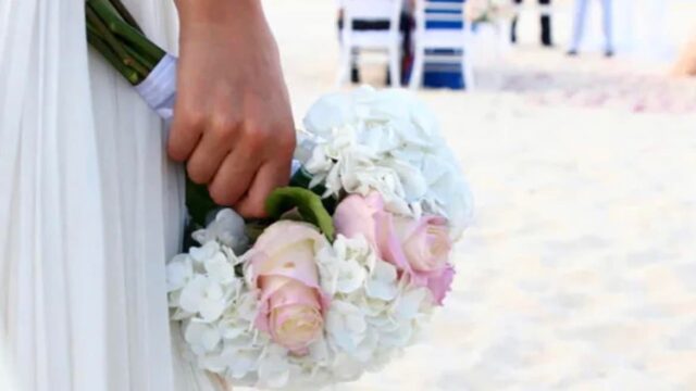 483652902_24066677062921908_5259792851614982180_n