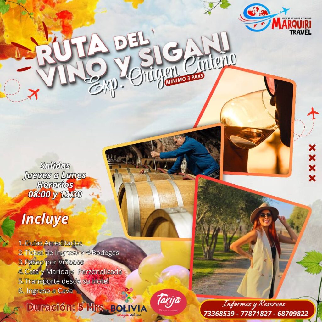 484072837_663344089565187_6709381316578549846_n