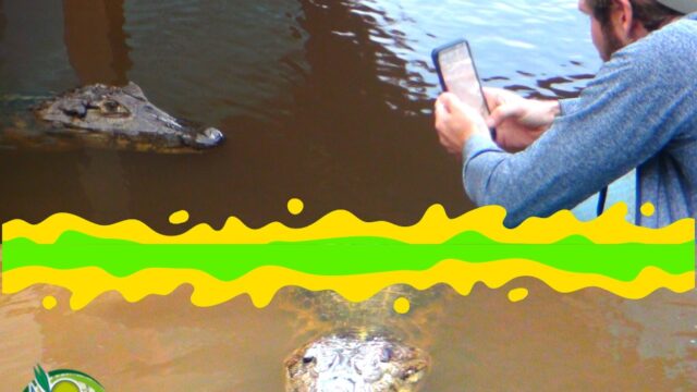 484810458_1184706730326847_8524820990264387802_n