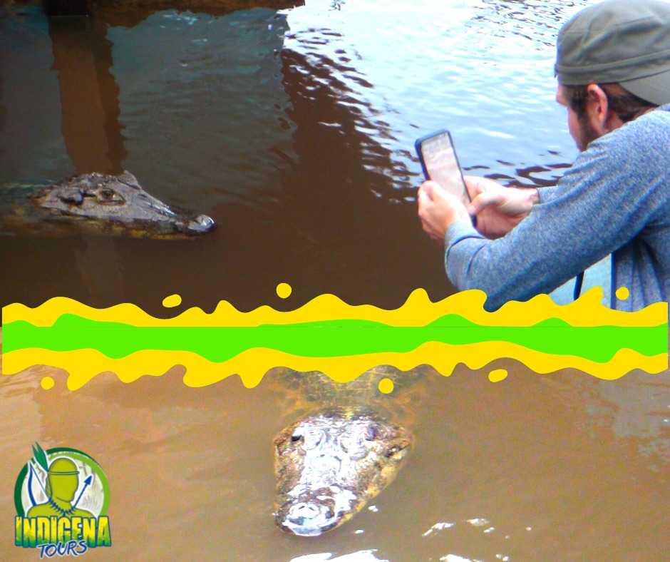 484810458_1184706730326847_8524820990264387802_n