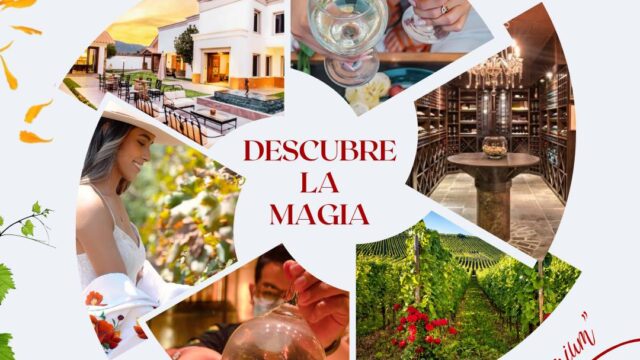 484903852_663189782913951_1736758681756144812_n