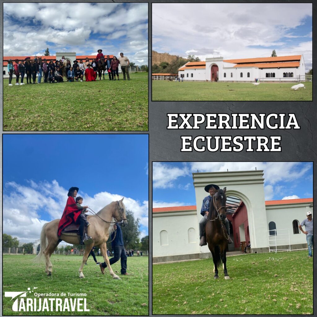 485134654_122194275686128453_2765930853196835628_n