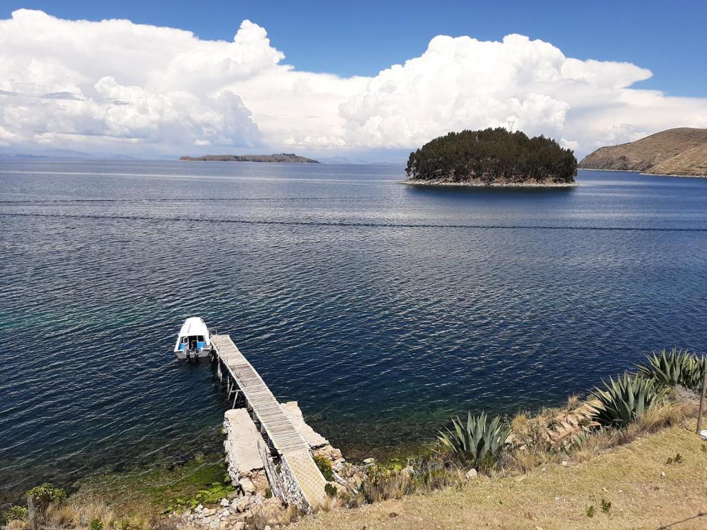 485693385_1237451578389930_712824276598866098_n