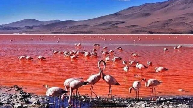 486639147_971397095059316_5497007220605153552_n