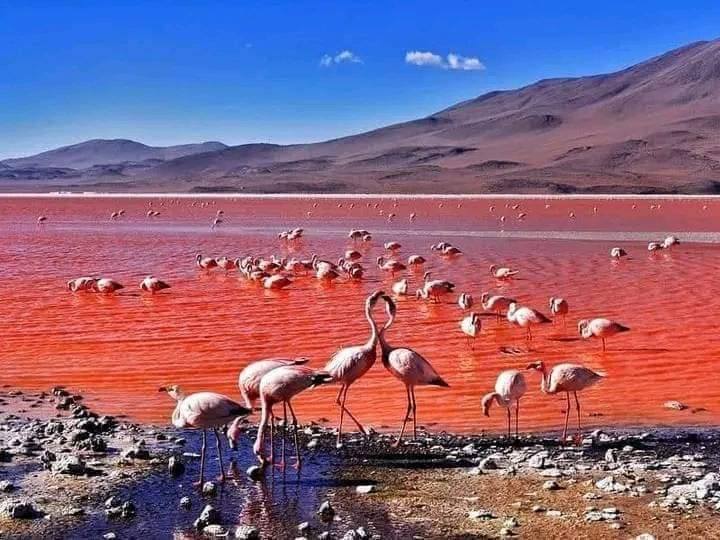 486639147_971397095059316_5497007220605153552_n