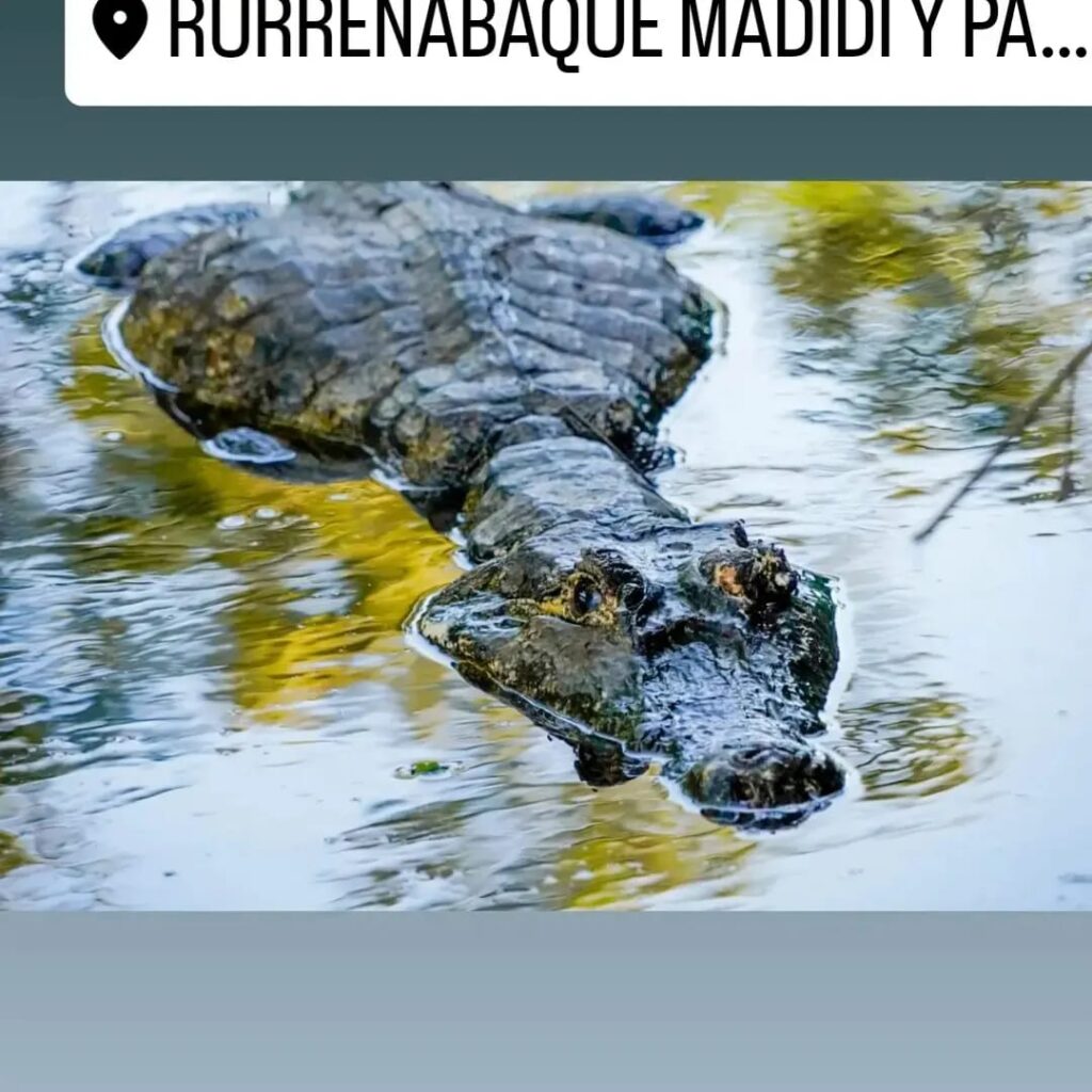 487134453_1447377060003894_4597433334490773697_n