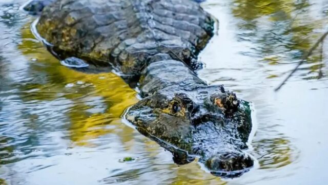 487134453_1447377060003894_4597433334490773697_n