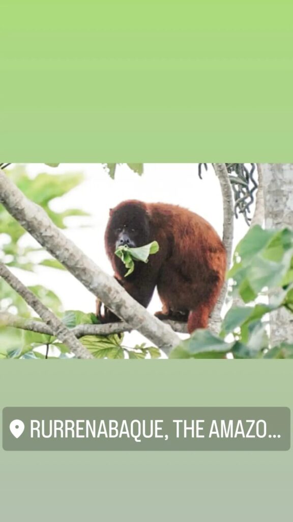 487237624_1447377076670559_7106083456709142012_n