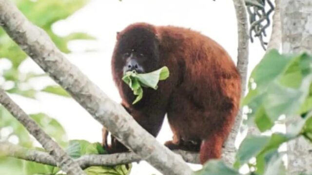 487237624_1447377076670559_7106083456709142012_n