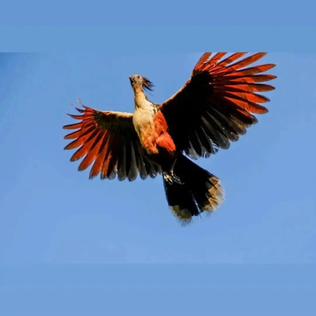 487241412_1447376953337238_3978139367356232585_n