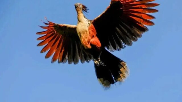 487241412_1447376953337238_3978139367356232585_n