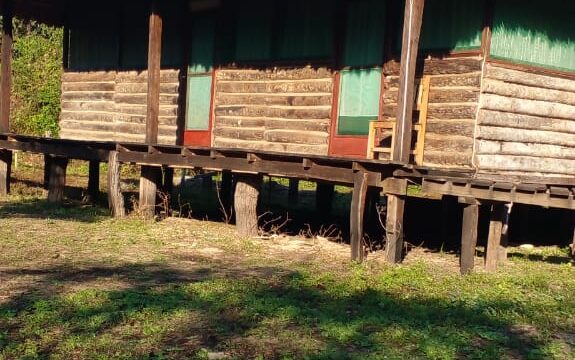 487340242_1450315353043398_5134392765544089505_n